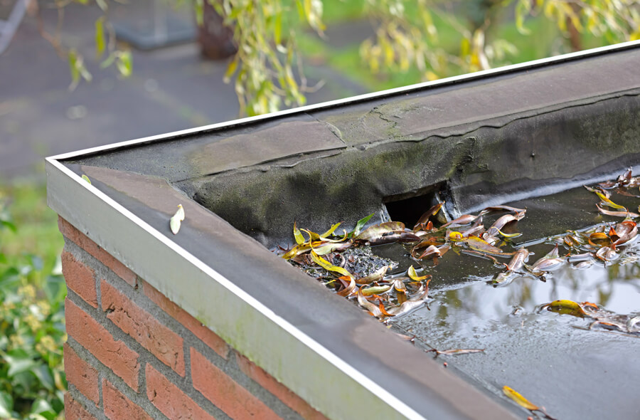 Commercial flat roof with leaves clogging the gutter