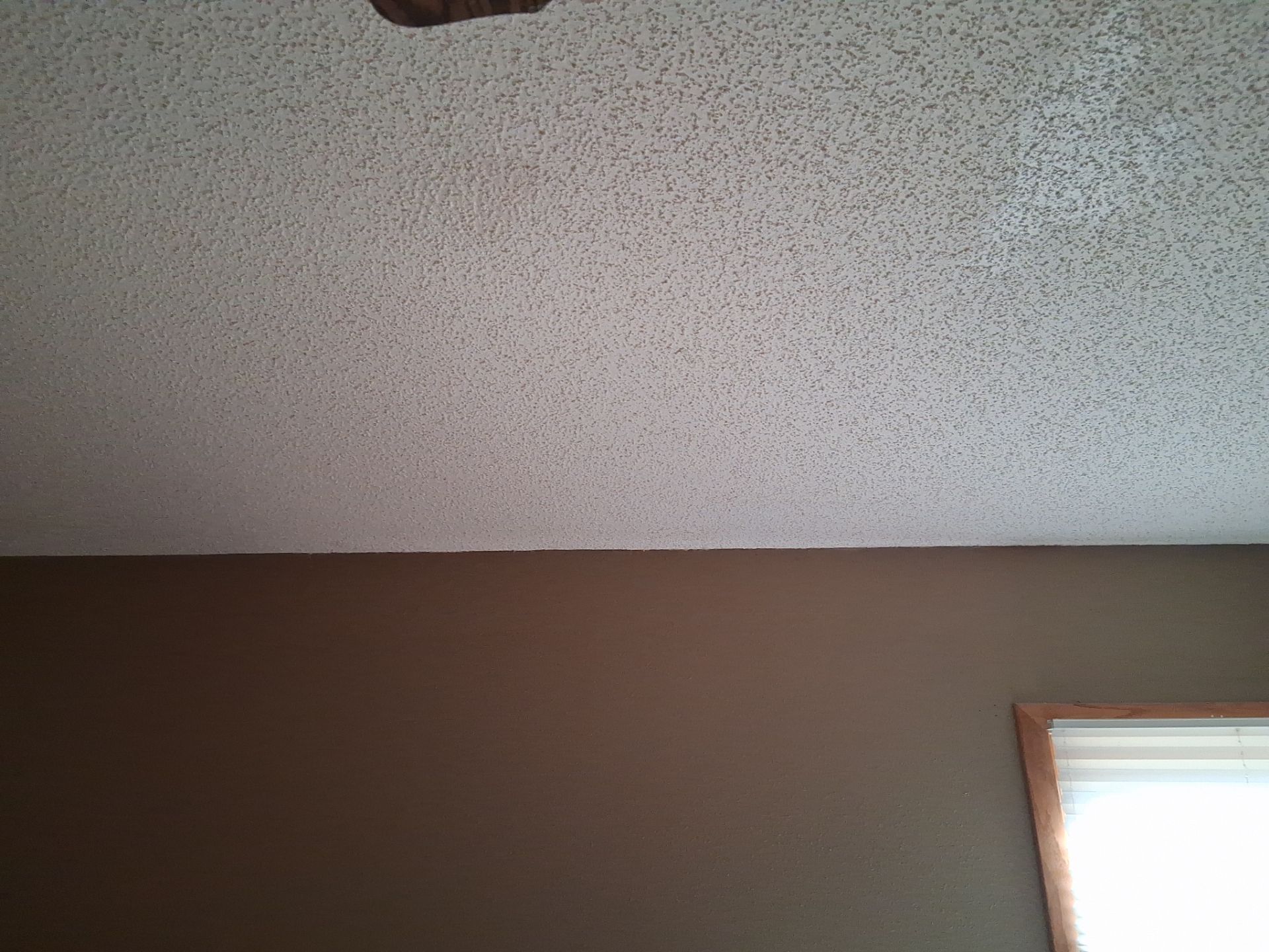 Gayle Galena Leaky Ceiling