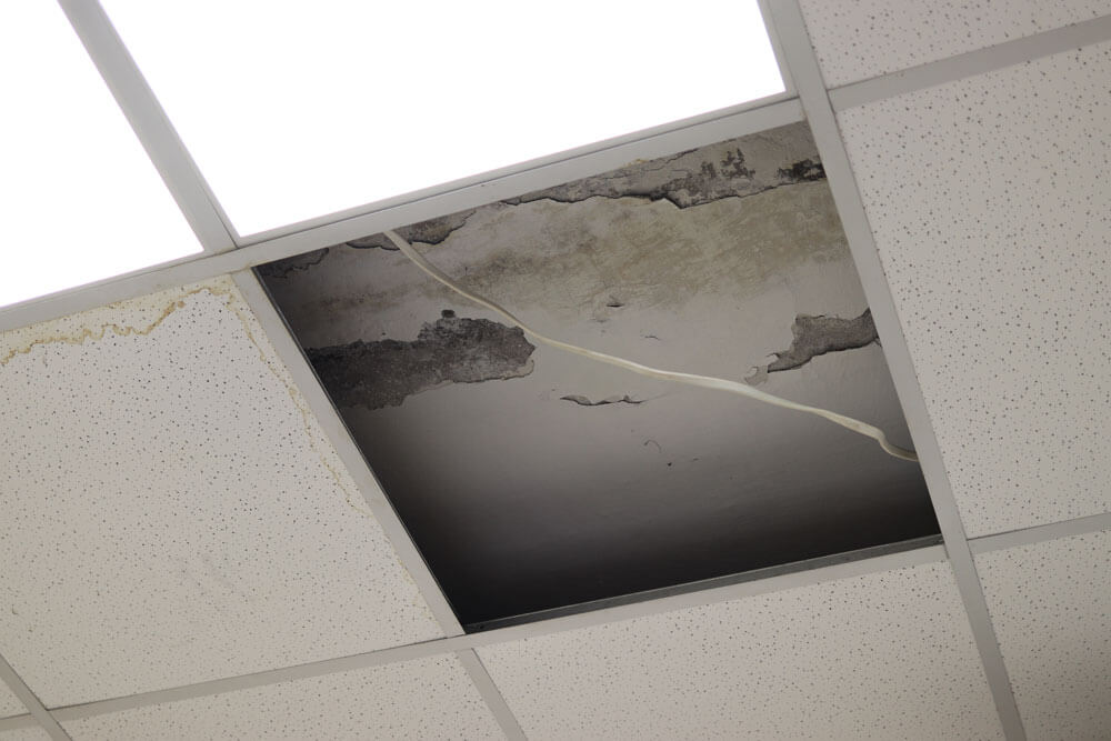 Interior inspection of an office building ceiling uncovering roof damage