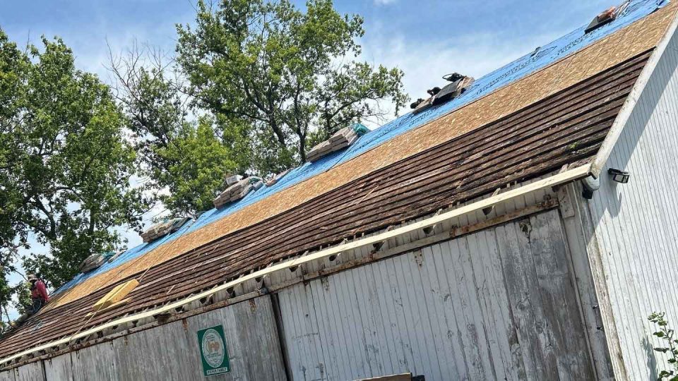 Pearl City, IL barn during full roof replacement installing new plywood and underlayment